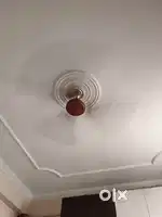 Fans 12 pc in working condition