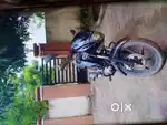 Pulsar 150