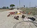 Lucknow me plant sabsa sasta