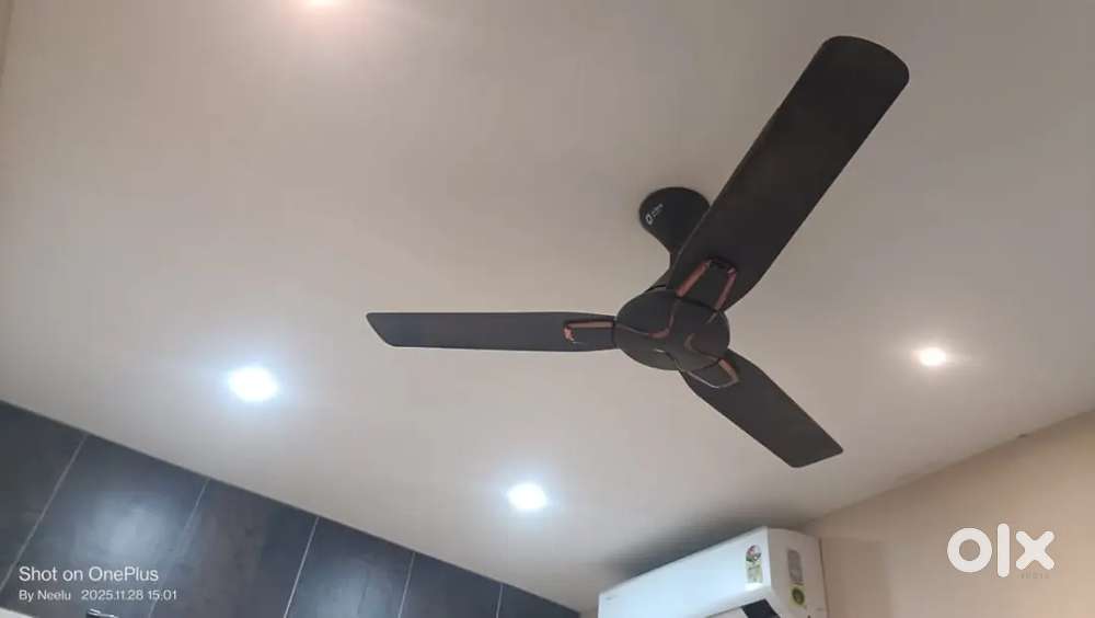 Room rent available for students self studies