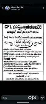 Collection executive
