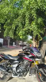 Brand new bajaj pulsar125