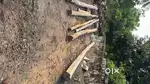 Teak wood for sale