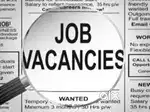 Block coordinator, panchayat coordinator at sonepur and boudh block