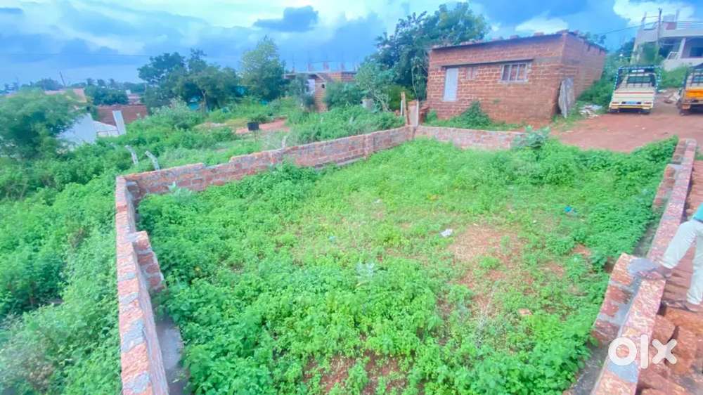 For sell plot