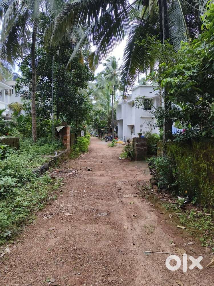 20 സെന്റ്  flat plot