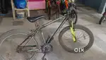 HARFU CYCLE