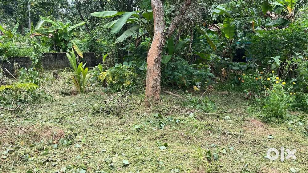 Property at ottoor for sale 12 cent with 3 meter road access