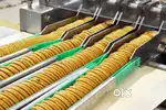 Cake and Biscuit Company Need 40 Nos of Fresher Male and Female
