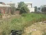 6 biswa plot