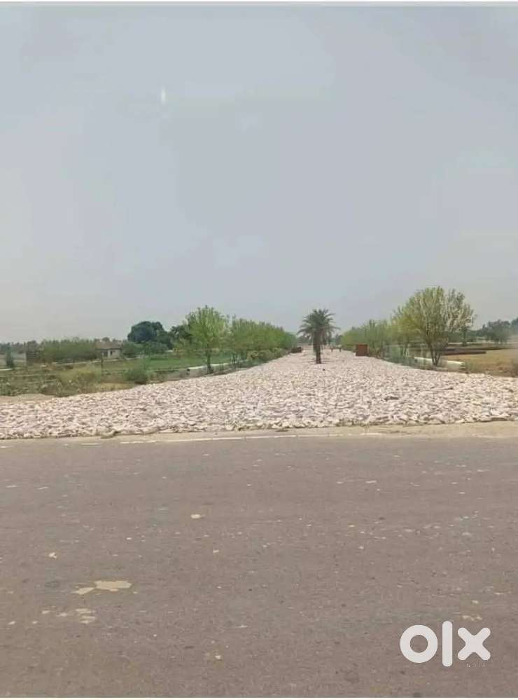 1000sq fit plot rasidencial plot, prime location, ragistary ready