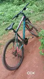 Gear bicycle