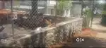 15 cent land on urgent sale, near Pathanamthitta town