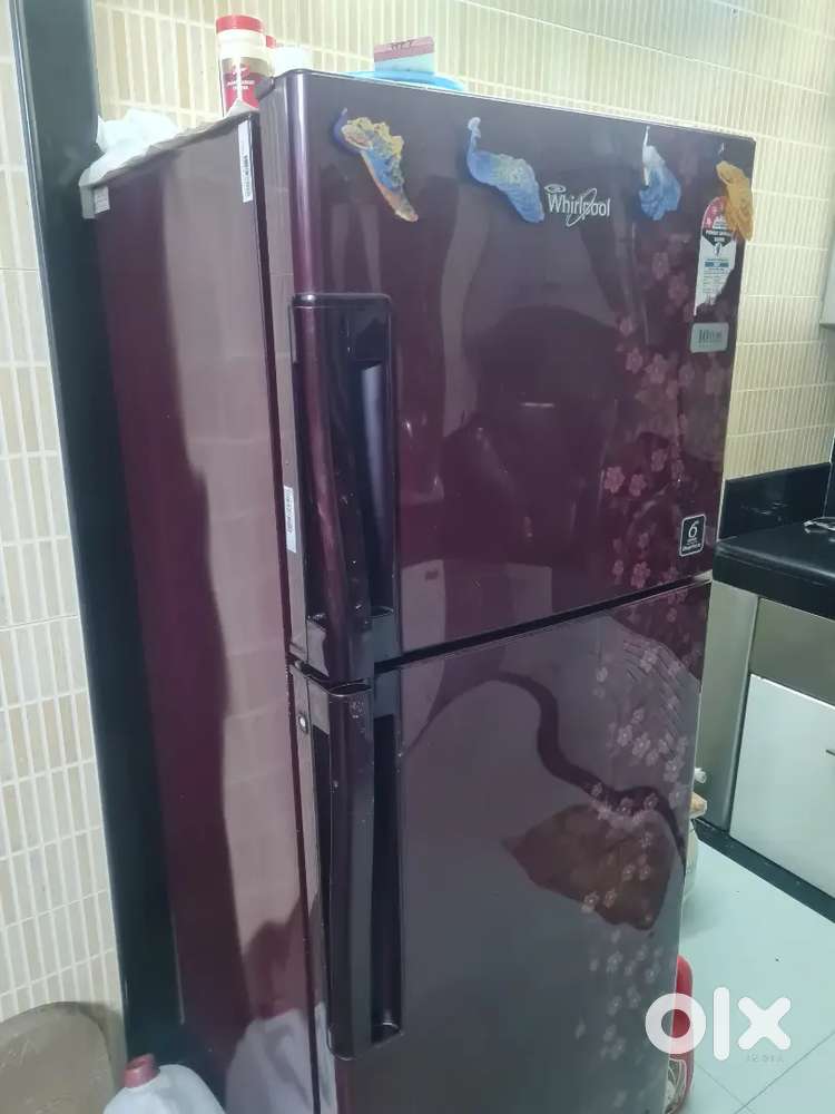 Fridge/Refrigerator