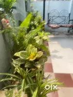 1 BHK Appartment