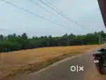Land Urgent Sale