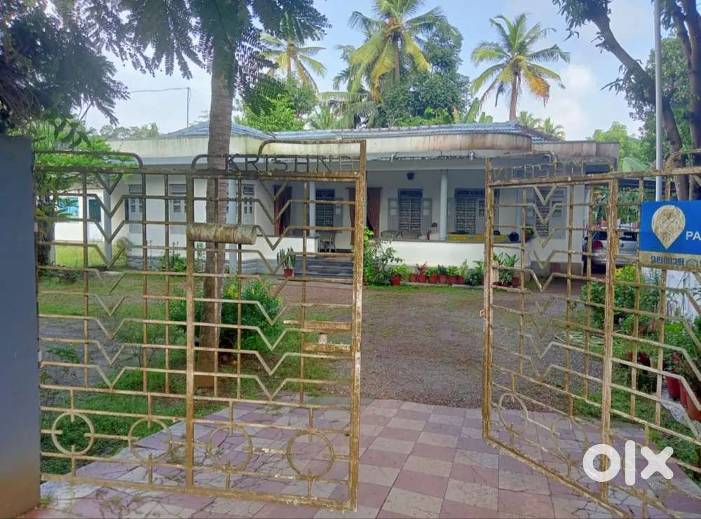 Location - Kurissinmmood, Changanassery, Kottayam.