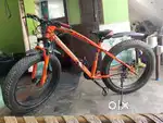 SUNBIRDS CYCLE