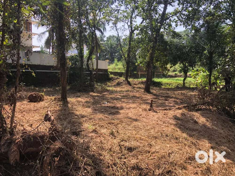 10-cent land for sale 3km from kannur chakkarakal kanayannur chembilod