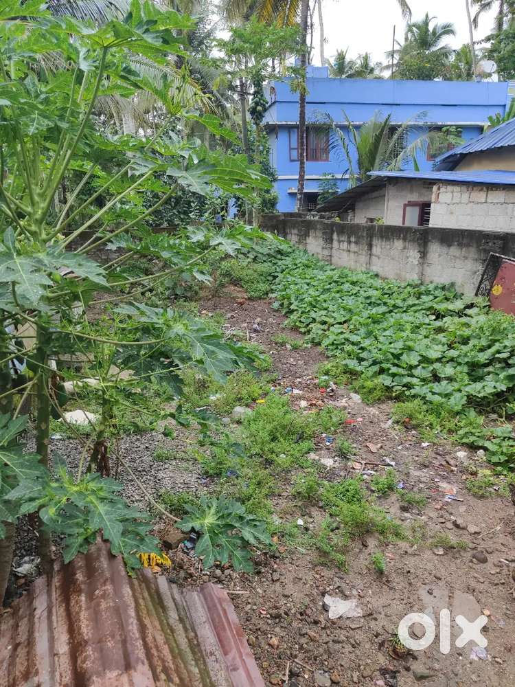 3 cent plot @ karumom
