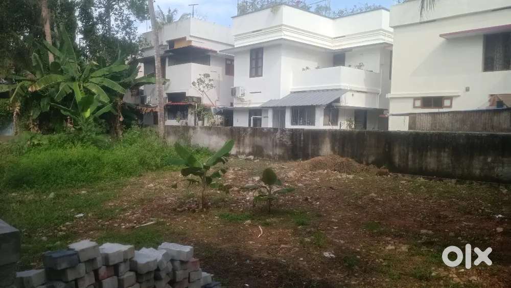 Pettah chakka road 100 mtr dry land 7.300 cent