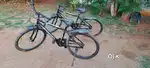 Men’s cycle
