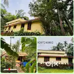 3bhk house and 25 cents land fully greenery tree and fruit plants