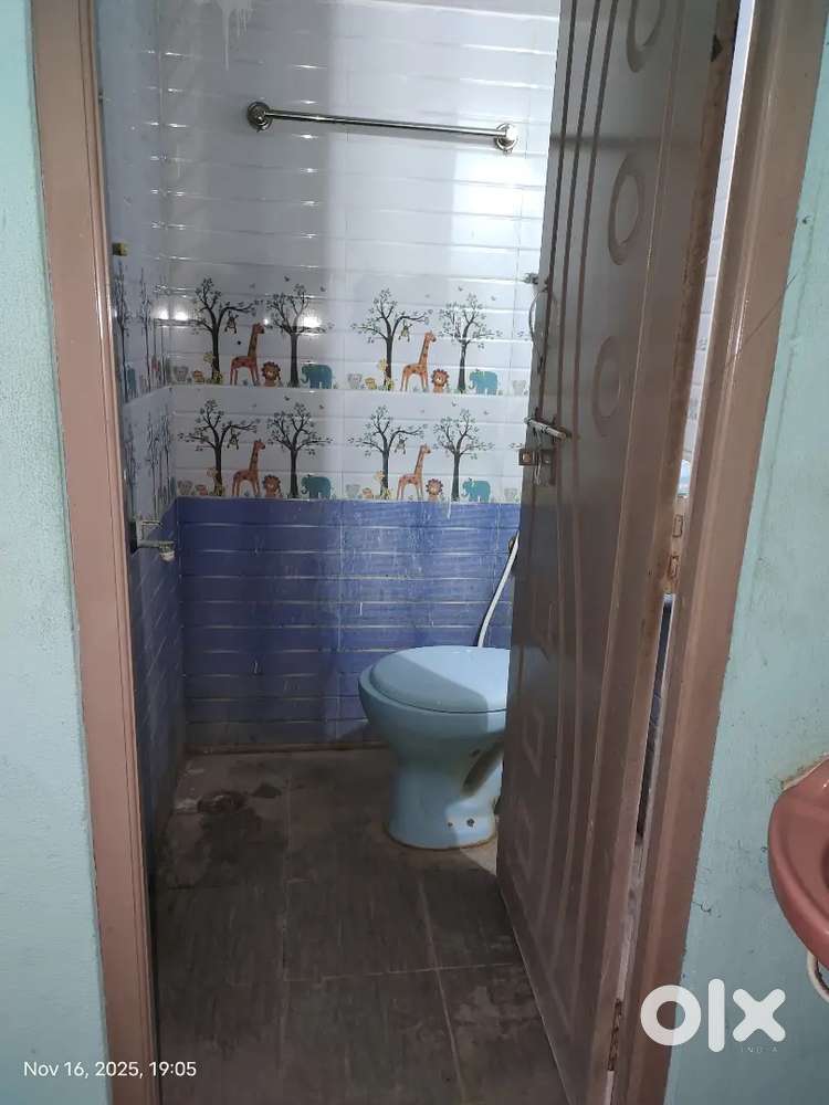 Rent house for bachelor