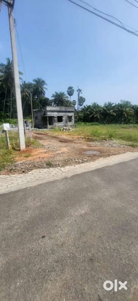 Kairali eco village 11 kms from palakkad town