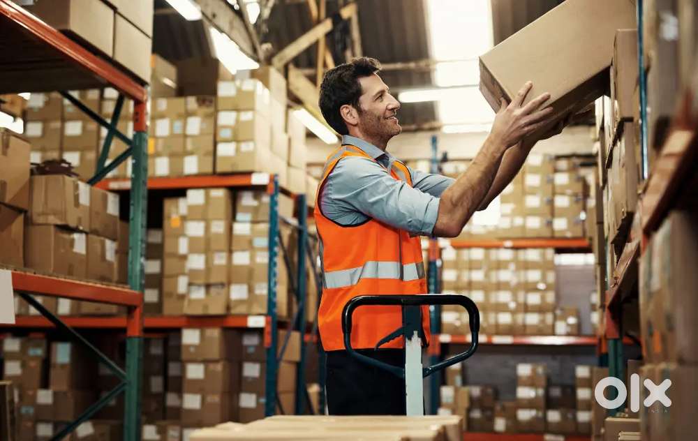 WE ARE LOOKING YOUNG STUDENTS IN WAREHOUSE COMPANY