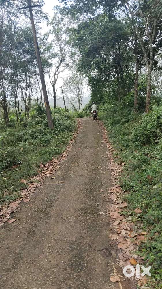 Rubber ploat for sale