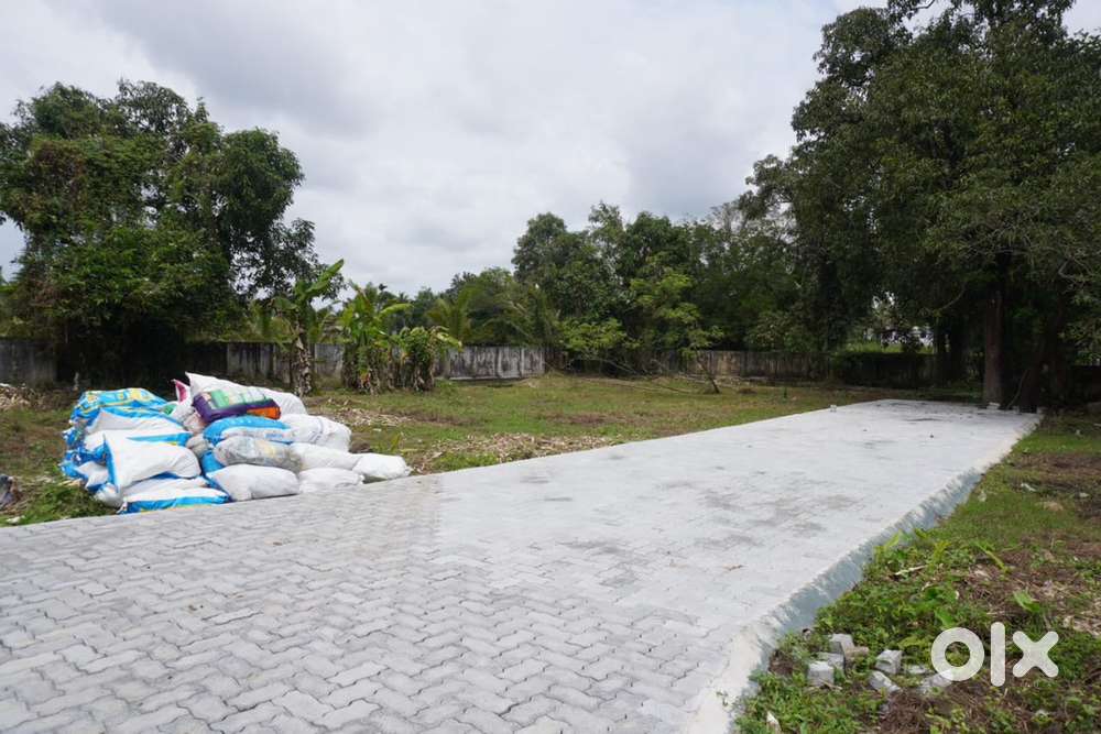 Plot for sale Irinjalakuda