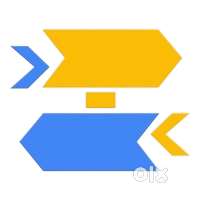 Travel/Sales Executive