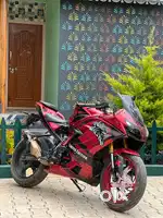 Apache Rr310