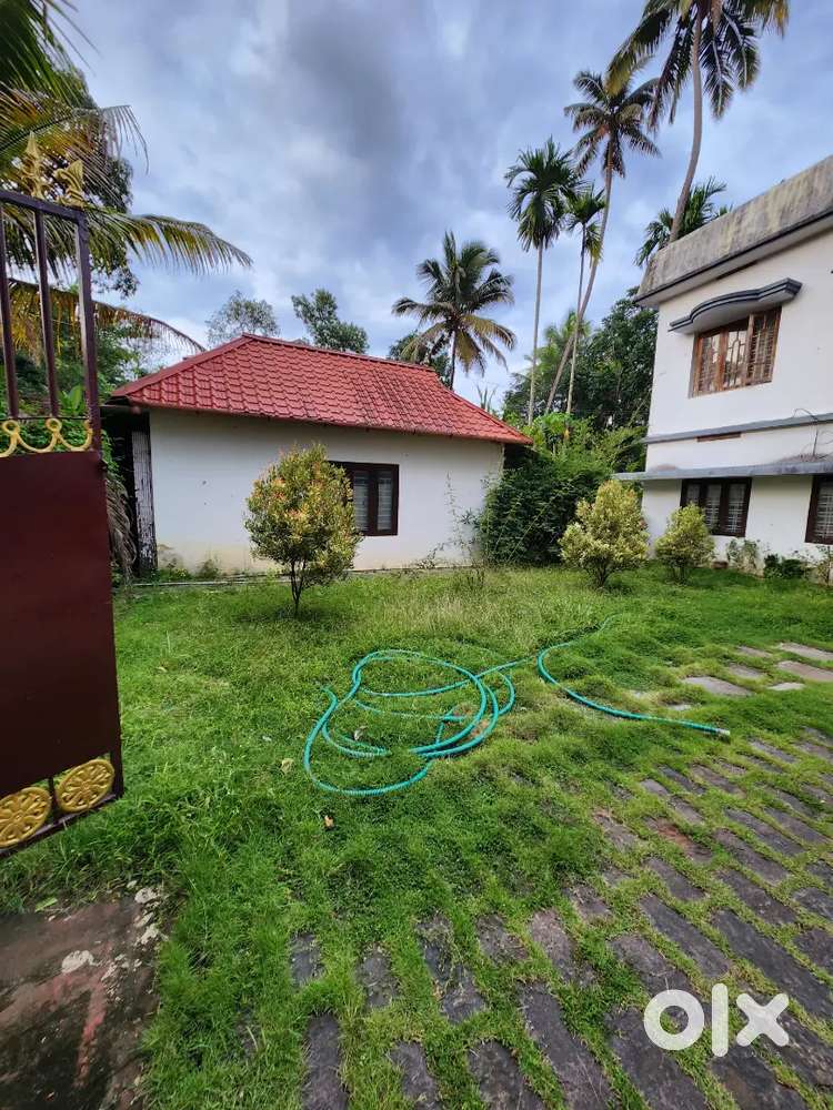 Kuttiye nokkunnathinum veetti Jolikkum aale aavasyam und