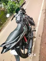 Pation pro