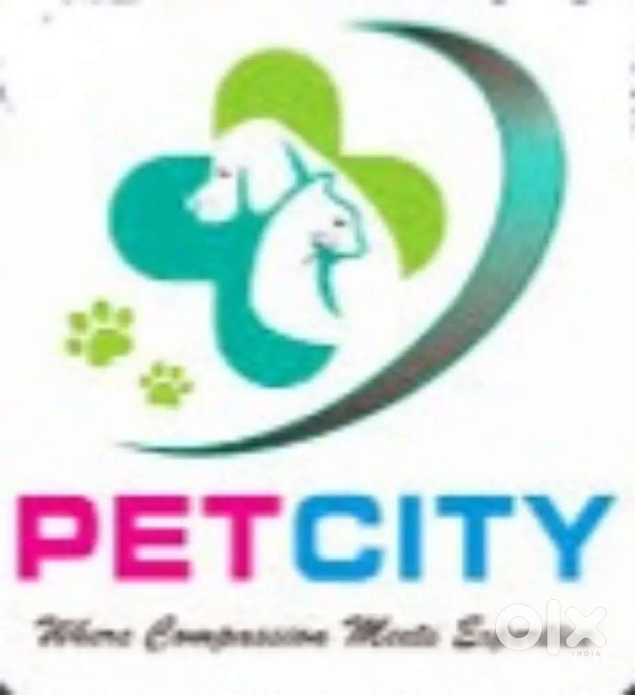 Receptionist and vet assistant