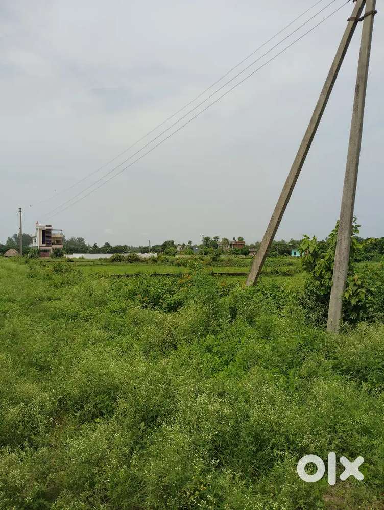 Residential plot at Haldwani Lamachaur