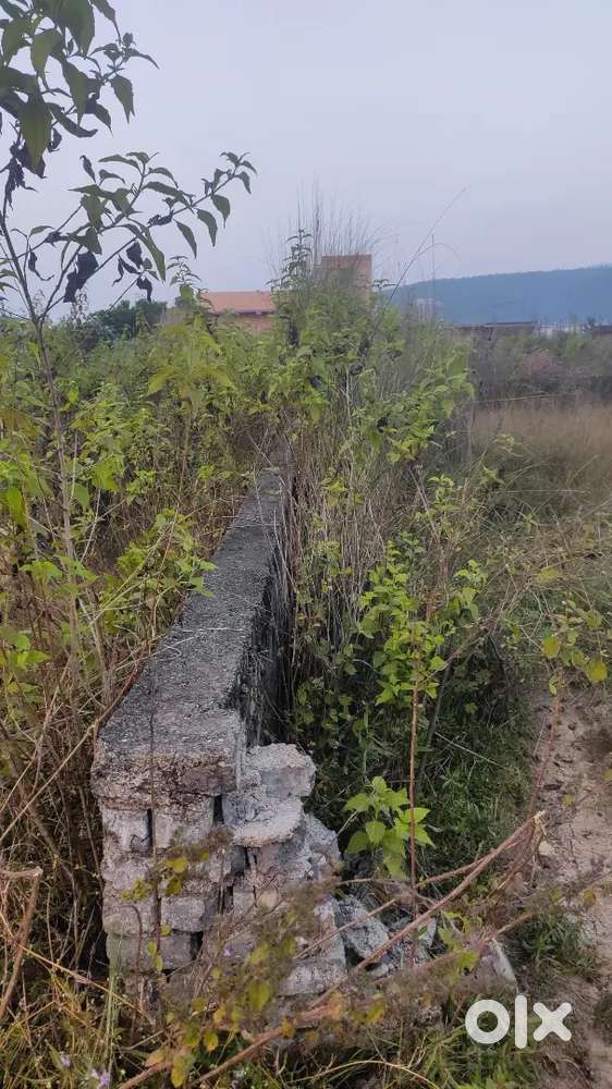 URGENT SELL plot in dobo purislire