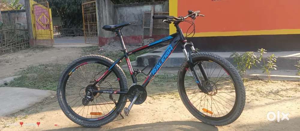 Raleigh Roxio3.0( 8×3 gear )