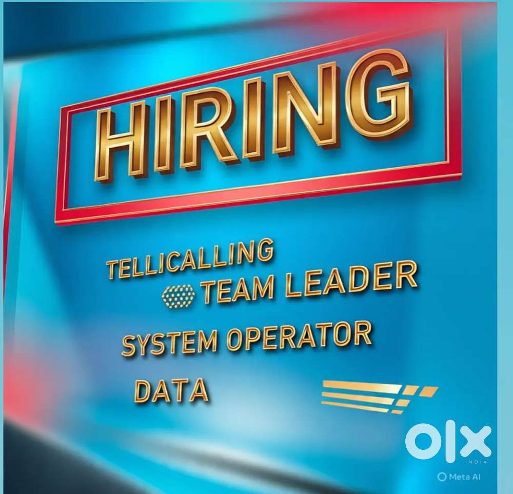 TELECALLER & DATA ENTRY & TEAM LEADER
