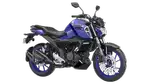 Recently purchased FZ V4