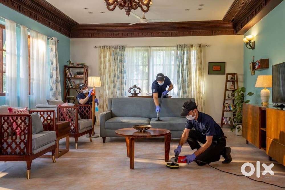 professional home cleaning