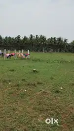 DTCP APPROVED PLOT 1 CENT - 1.80 LAK ONLY NEAR POLLACHI ( SULAKKAL)