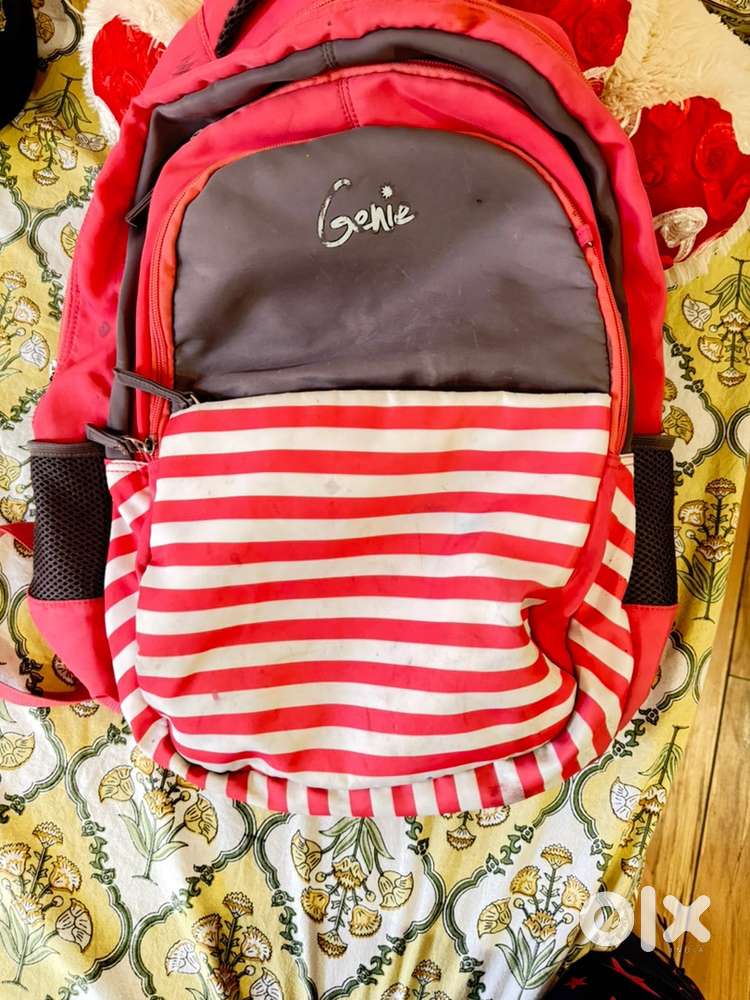 Genie orginal bag