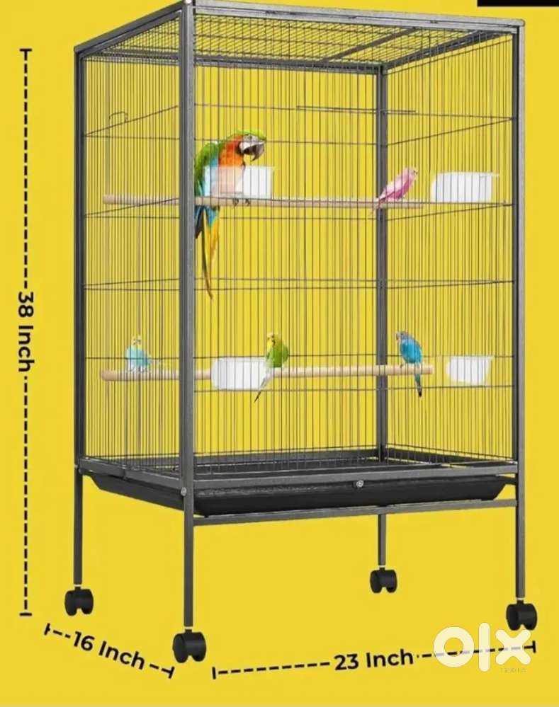 Bird cage big size