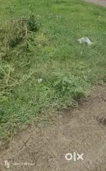 1107 sqft प्लाट बेचना है शहीद वीर नारायण चुना भट्टी