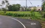 15 cents of residential plot for sale at Kaloor.
