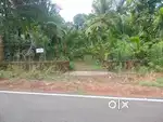 20 cent house/commercial purpose property