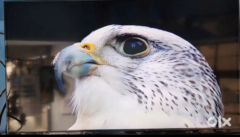 Samsonic 32 inch android led tv